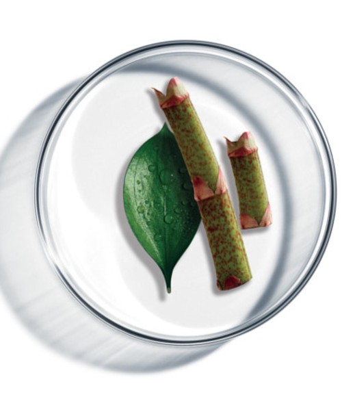 3ff Resveratrol-the-next-big-anti-aging-antioxidant.52 (1)